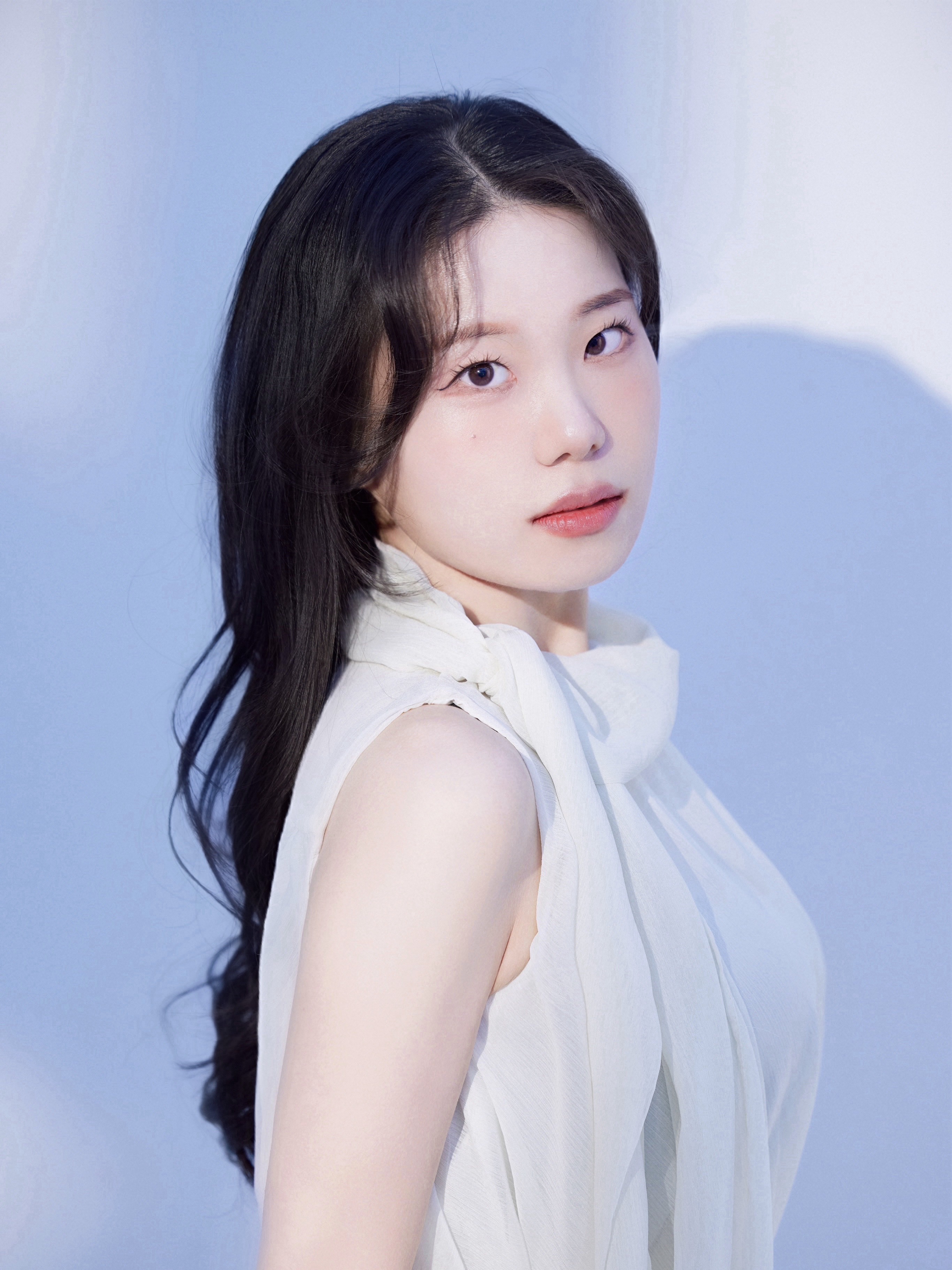 라리 사진 1