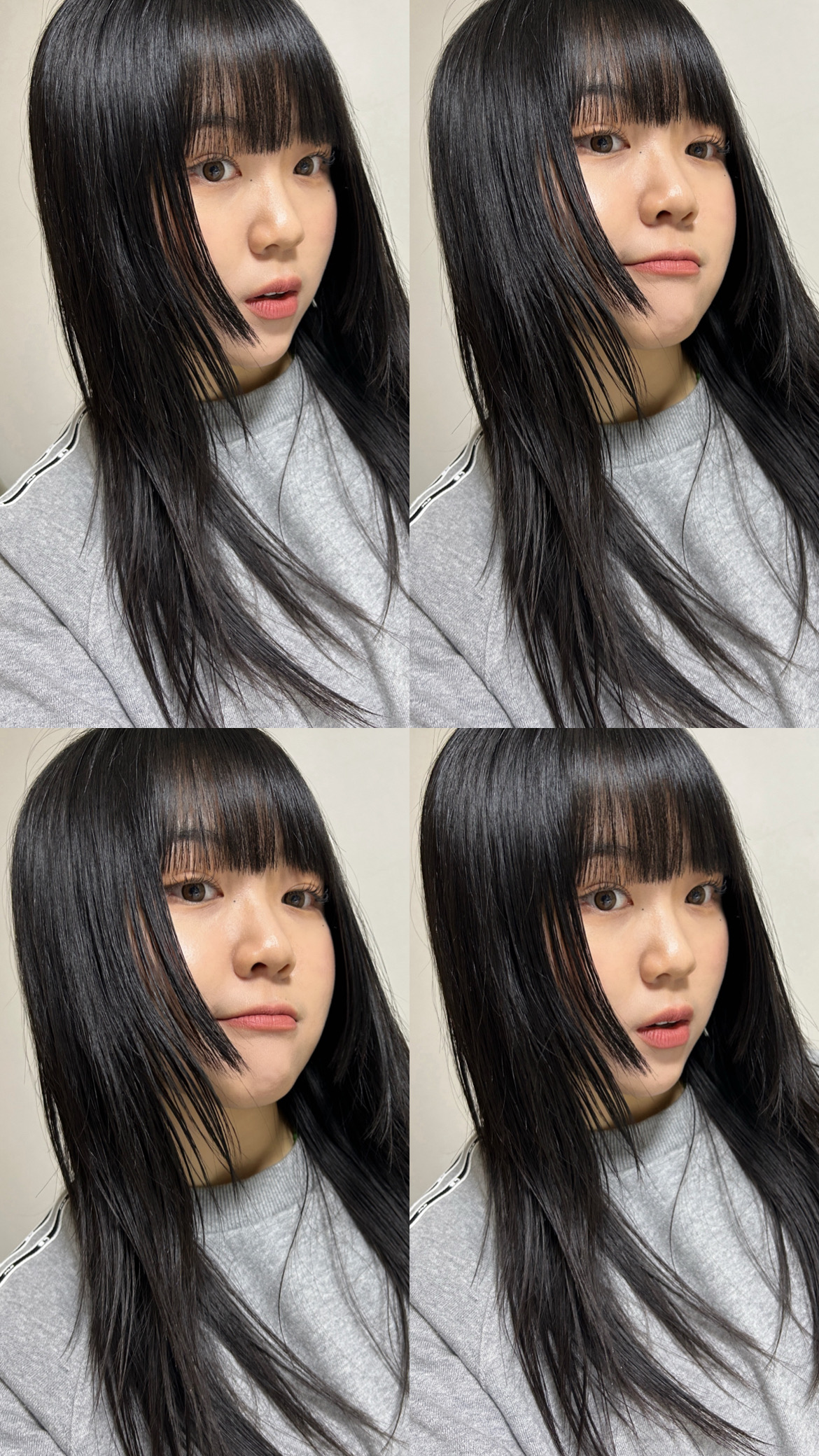 DIXIE (딕시) 사진 5