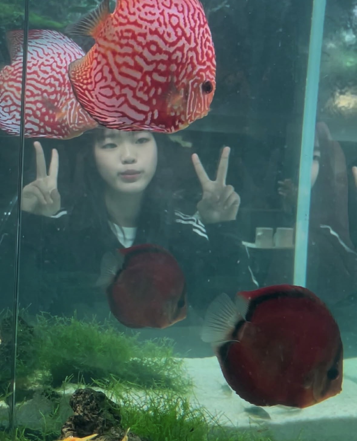 나리